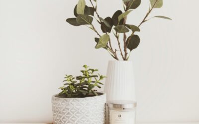 Overwhelmed by Your Home? Here’s How to Stop Procrastinating and Get Started